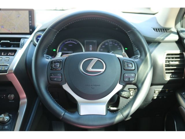 TOYOTA LEXUS NX300h 2019