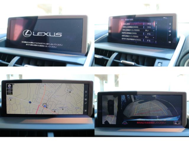 TOYOTA LEXUS NX300h 2019