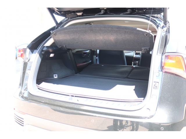 TOYOTA LEXUS NX300h 2019