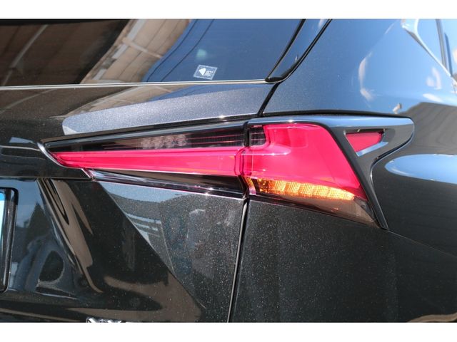 TOYOTA LEXUS NX300h 2019