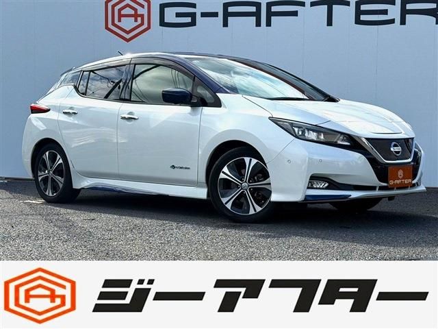 NISSAN LEAF 2017