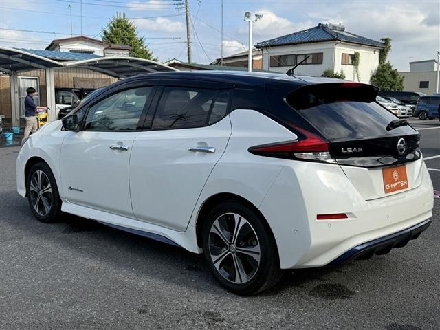 NISSAN LEAF 2017