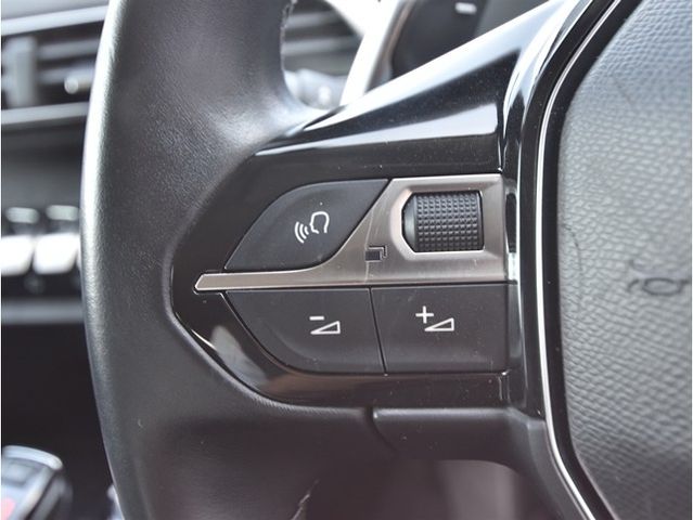 PEUGEOT PEUGEOT 3008 2019