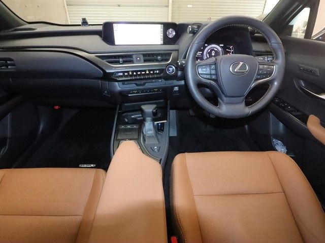 TOYOTA LEXUS UX250h 2019