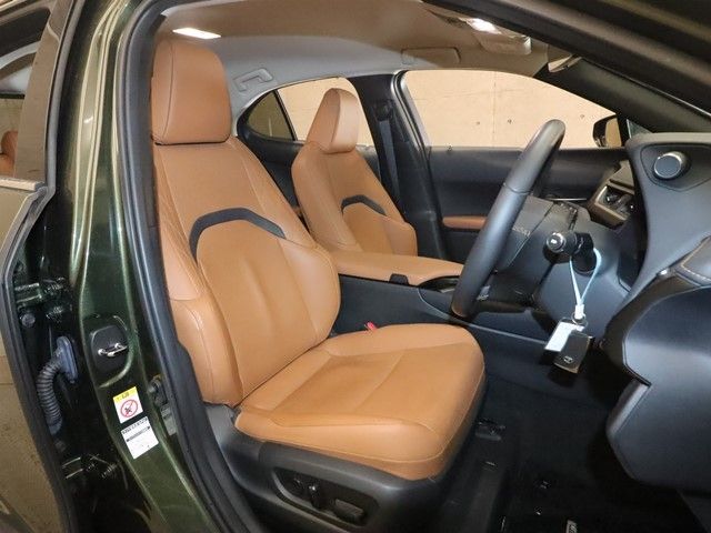 TOYOTA LEXUS UX250h 2019