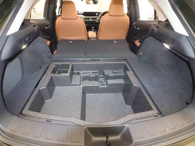 TOYOTA LEXUS UX250h 2019