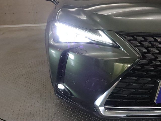 TOYOTA LEXUS UX250h 2019