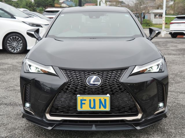 TOYOTA LEXUS UX250h 2021