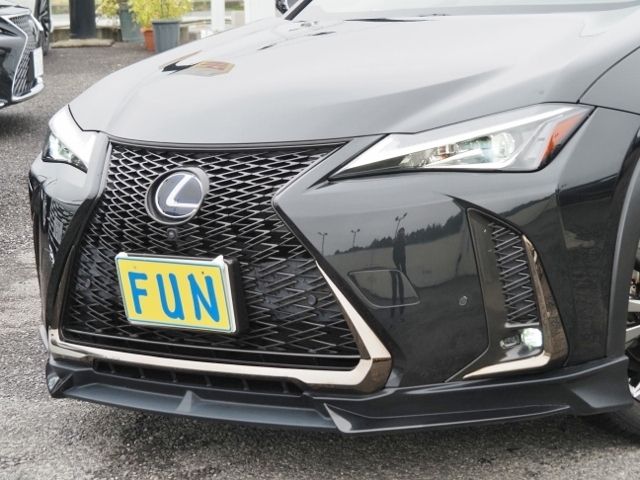 TOYOTA LEXUS UX250h 2021