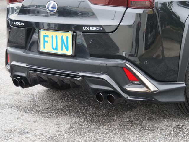 TOYOTA LEXUS UX250h 2021