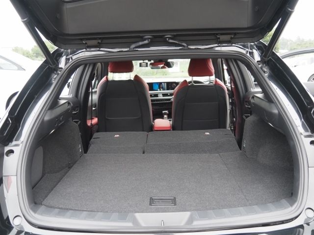 TOYOTA LEXUS UX250h 2021