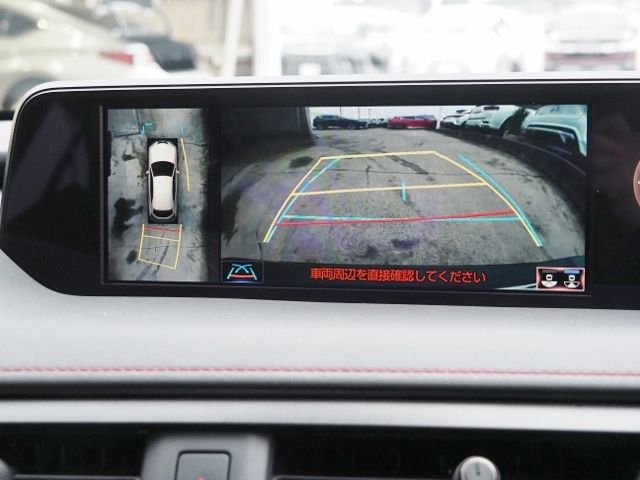 TOYOTA LEXUS UX250h 2021