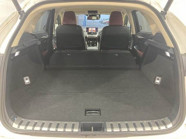 TOYOTA LEXUS NX300h 2018