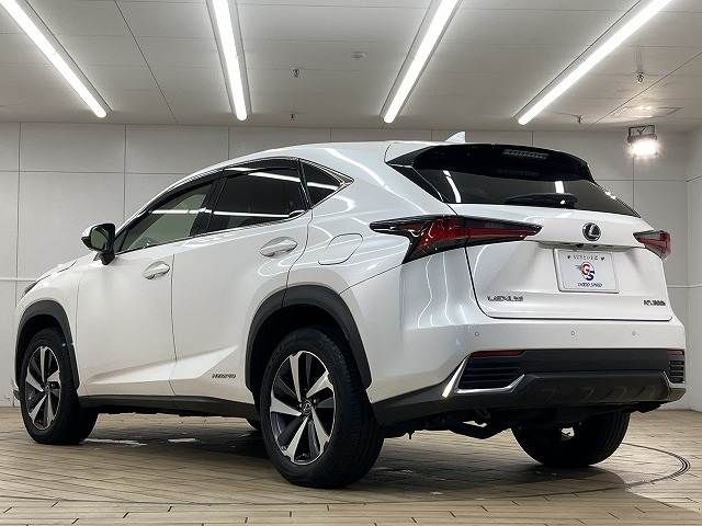 TOYOTA LEXUS NX300h 2018