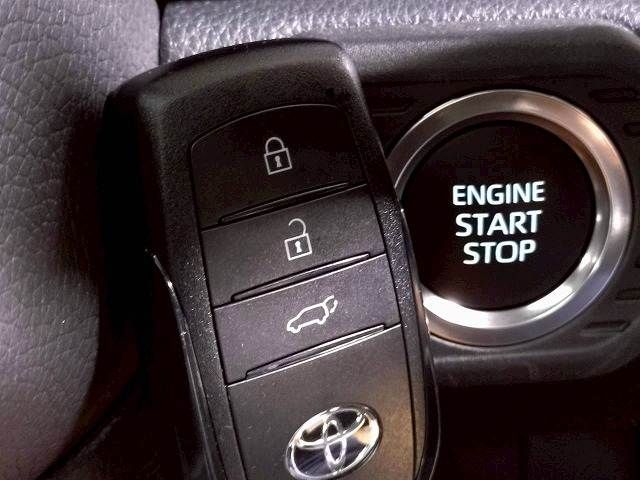 TOYOTA LANDCRUISER 250 2024