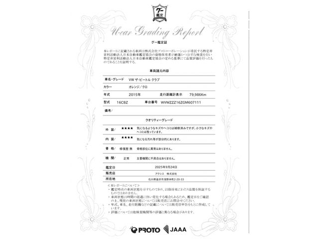 VOLKSWAGEN VOLKSWAGEN The BEETLE 2015