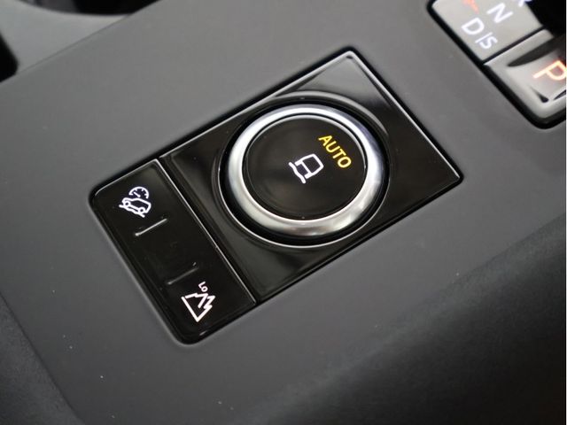 ROVER ROVER DISCOVERY 2025