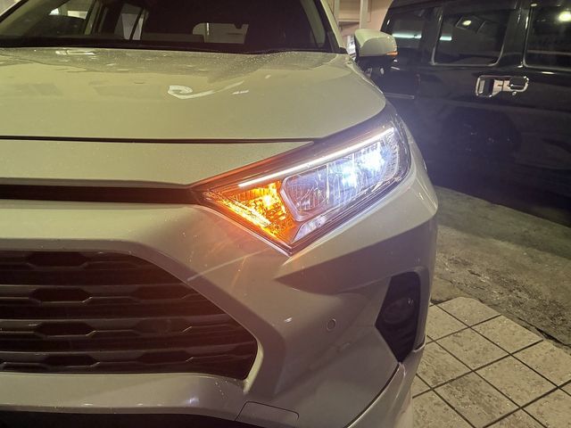 TOYOTA RAV4 4WD 2019