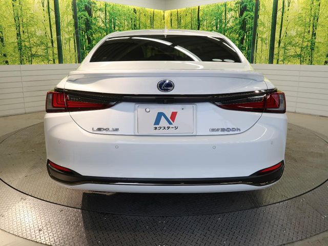 TOYOTA LEXUS ES300h 2019