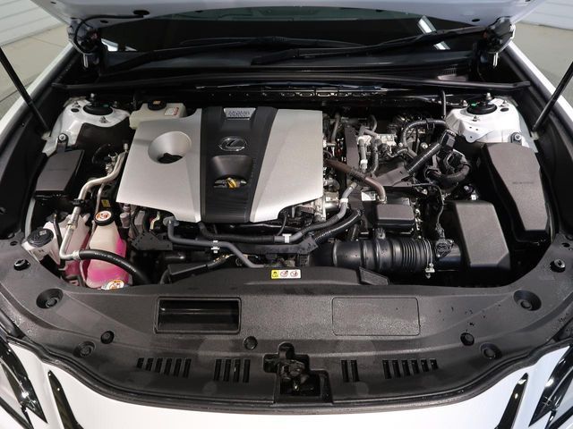 TOYOTA LEXUS ES300h 2019