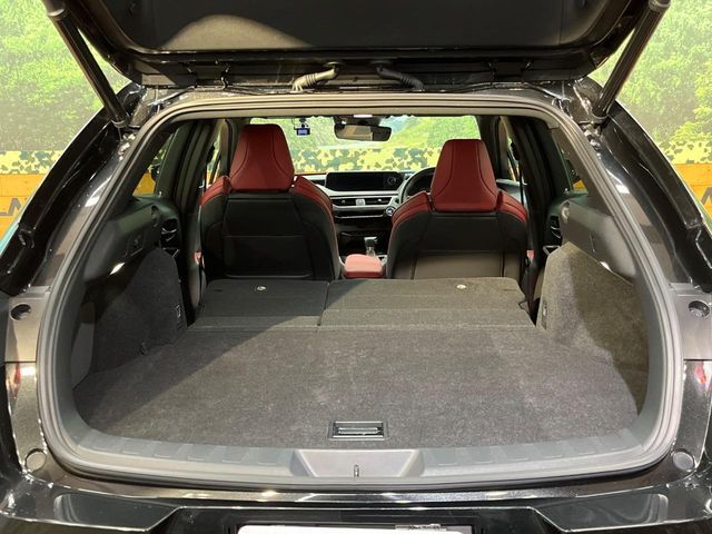 TOYOTA LEXUS UX250h 2018