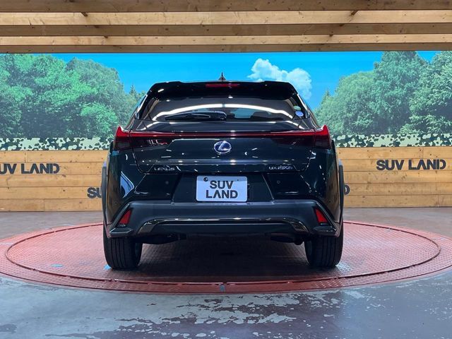 TOYOTA LEXUS UX250h 2018