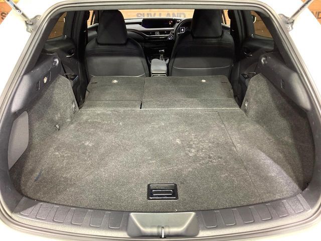 TOYOTA LEXUS UX250h 2019