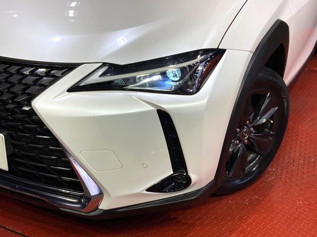 TOYOTA LEXUS UX250h 2019