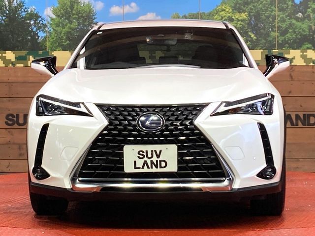 TOYOTA LEXUS UX250h 2019