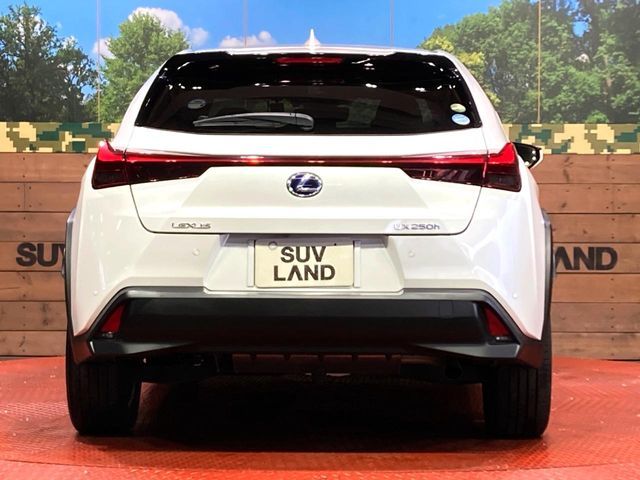 TOYOTA LEXUS UX250h 2019