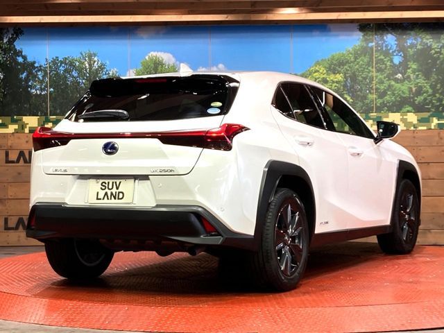 TOYOTA LEXUS UX250h 2019