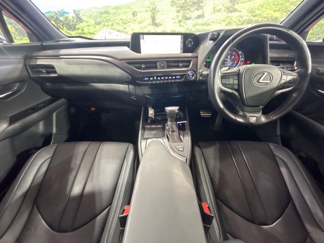 TOYOTA LEXUS UX250h 2019