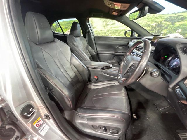 TOYOTA LEXUS UX250h 2019