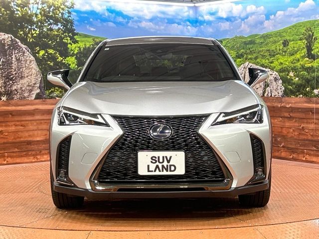 TOYOTA LEXUS UX250h 2019