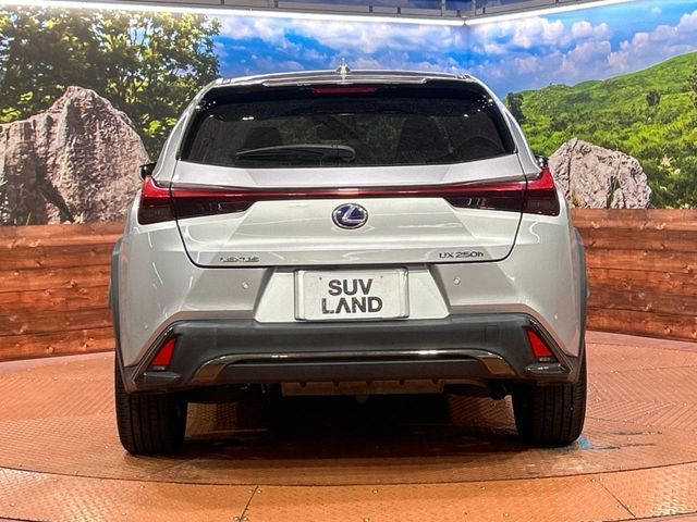 TOYOTA LEXUS UX250h 2019