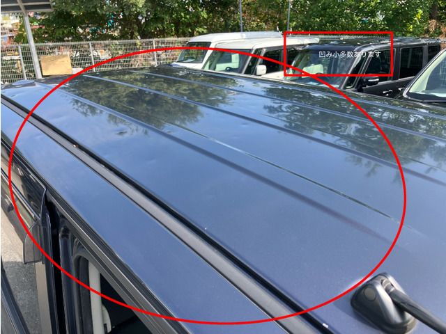 NISSAN DAYZ ROOX 2014