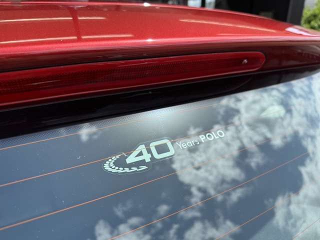 VOLKSWAGEN VOLKSWAGEN POLO 2016