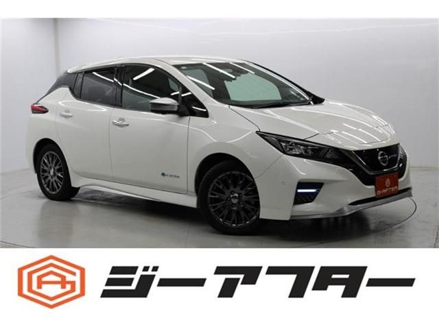 NISSAN LEAF 2020
