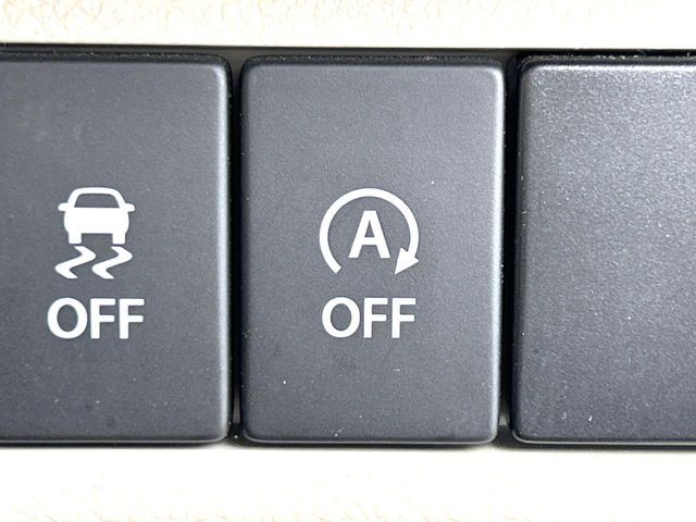 SUZUKI ALTO LAPIN 2019