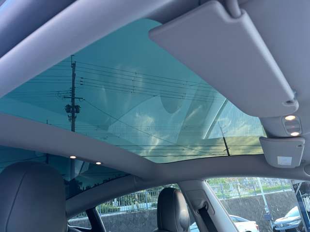 TESLA TESLA MODEL 3 2022