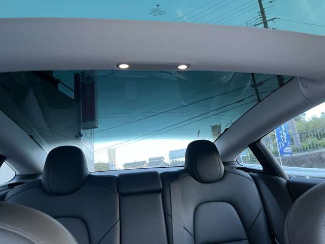 TESLA TESLA MODEL 3 2022