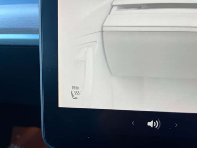 TESLA TESLA MODEL 3 2022