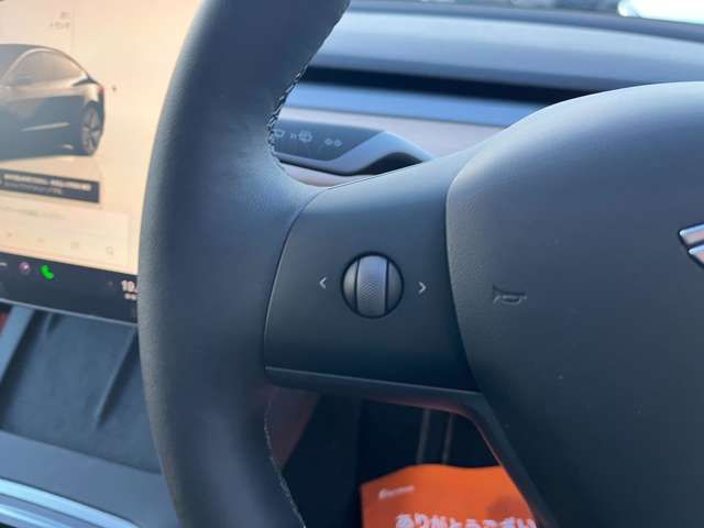 TESLA TESLA MODEL 3 2022