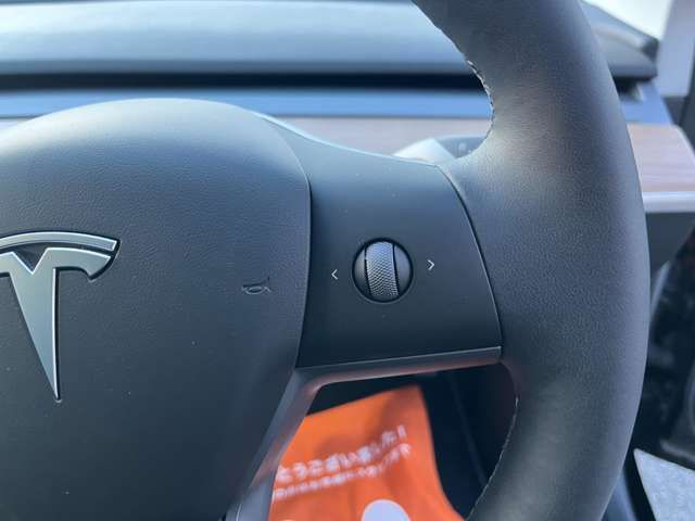 TESLA TESLA MODEL 3 2022