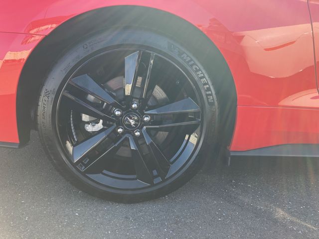 FORD FORD MUSTANG 2015