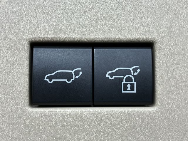 TOYOTA LANDCRUISER wagon 2024