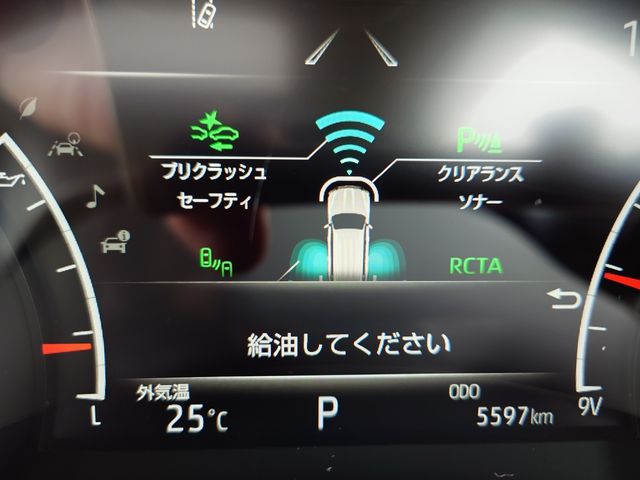 TOYOTA LANDCRUISER wagon 2025