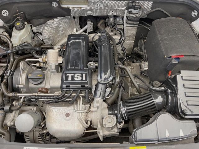 VOLKSWAGEN VOLKSWAGEN The BEETLE 2013