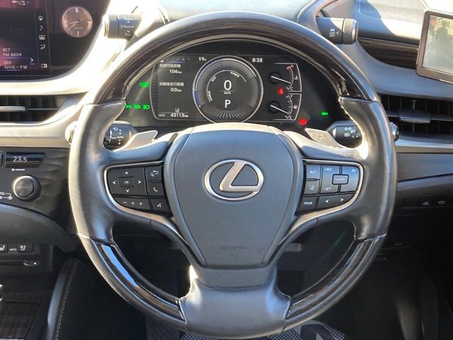 TOYOTA LEXUS ES300h 2019