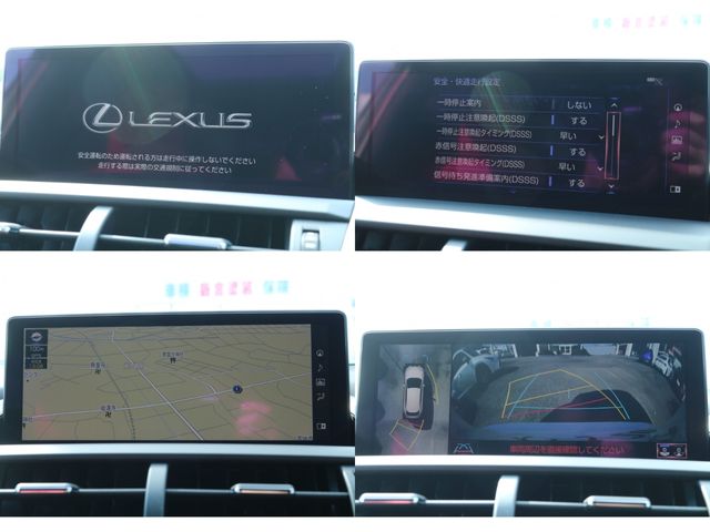 TOYOTA LEXUS NX300h 2019